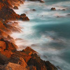 An image in a gallery