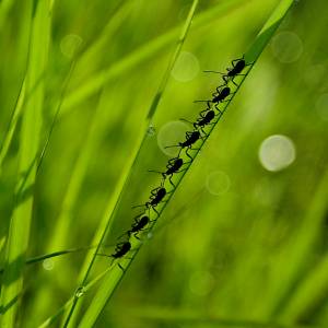 An image in a gallery